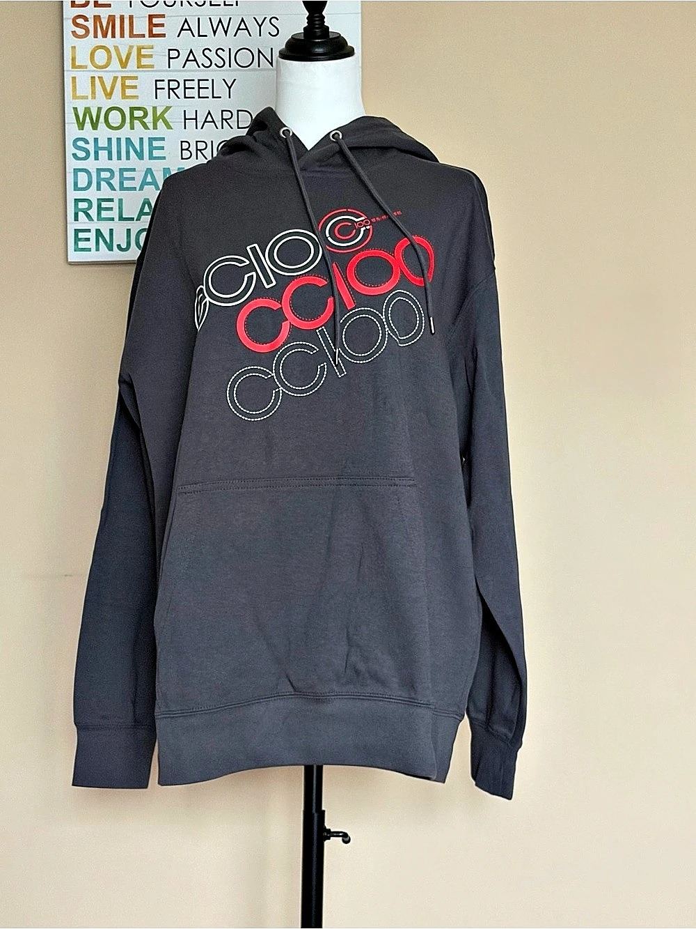 Graphic Pullover Hoodie in Gray XXL